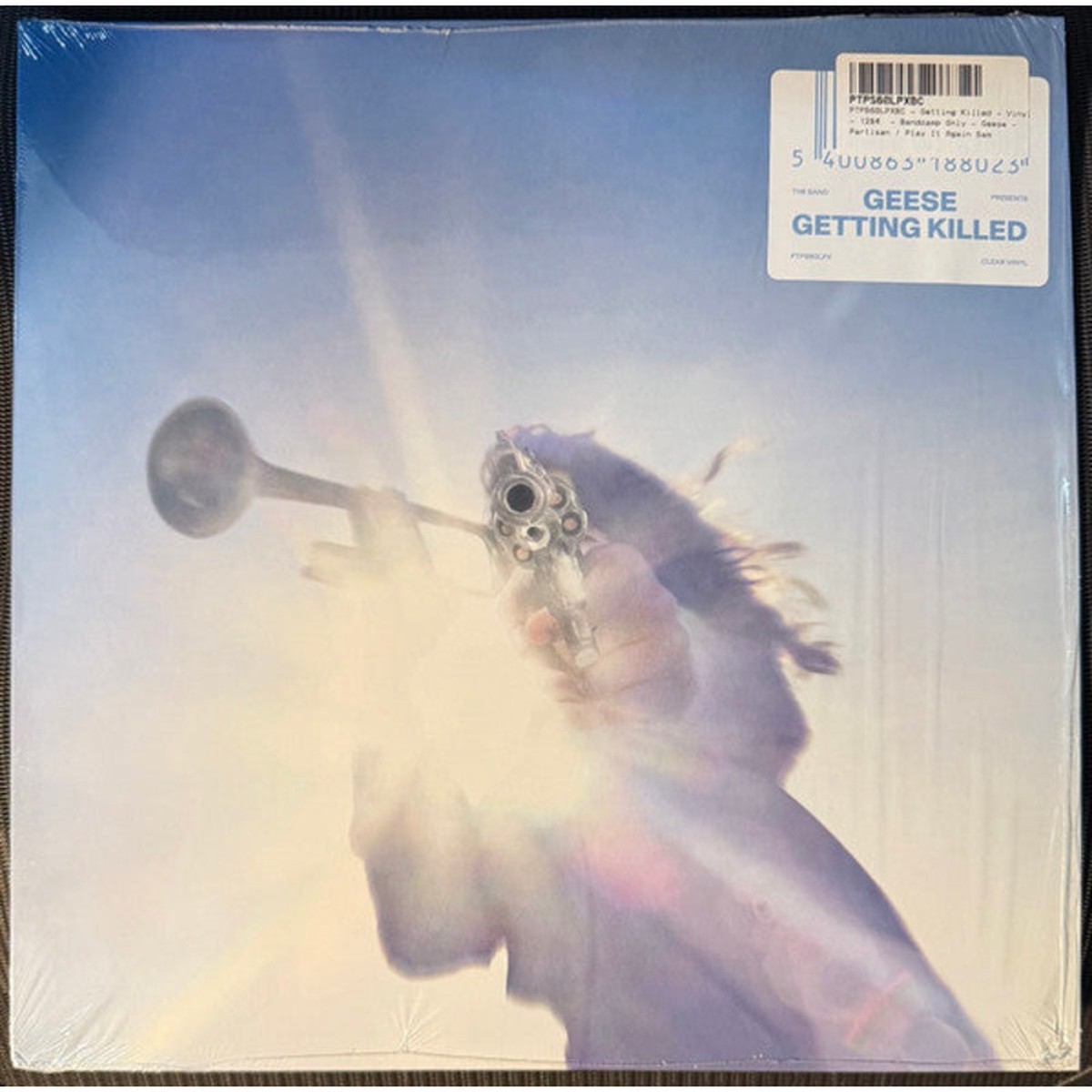 Geese (11) - Getting Killed